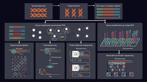 Sequencing Workflow-এর ছবি ফলাফল