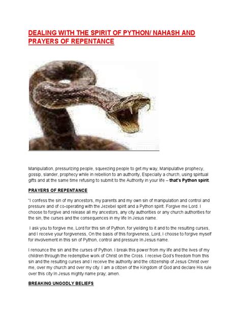 Image result for Spirit of Python