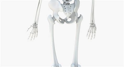 Python Skeleton 3D に対する画像結果