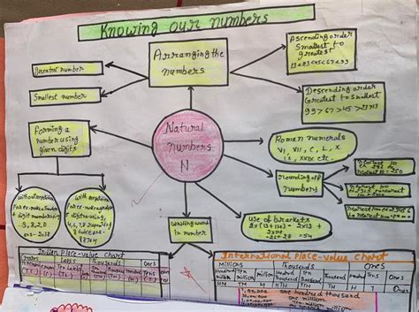 Image result for Class 6 Whole Numbers Concept Map