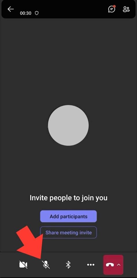 Image result for Teams Meeting Mute Button