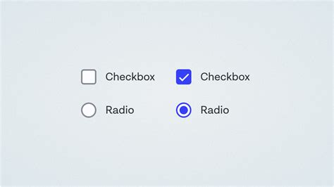 Image result for Checkbox and Radio Button Difference Java