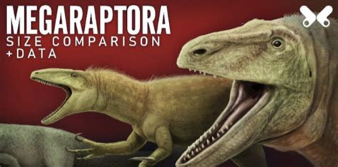 Toradh íomhá ar Mario Design Tier List