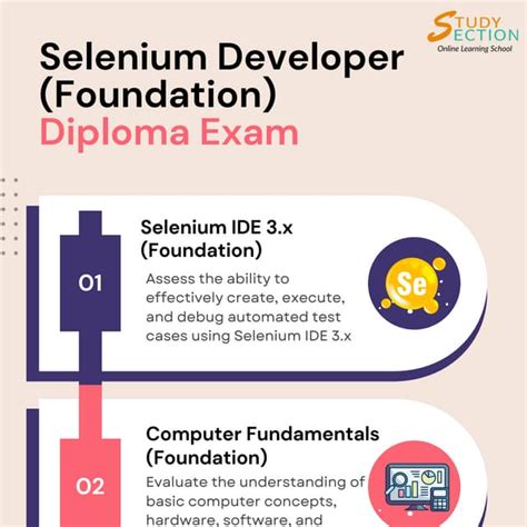 Afbeeldingsresultaten voor Selenium Developer Beginner