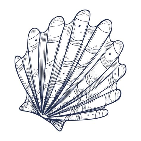 Image result for Nautical Shell Line Drawing