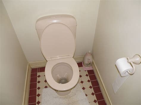 Image result for Toilet Kind