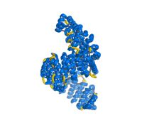 Image result for Py NLS