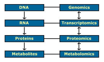 Transcriptomics vs Proteomics に対する画像結果