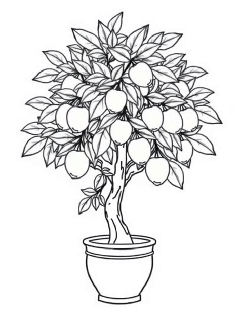 תוצאת תמונה עבור Lemon Tree Coloring Page