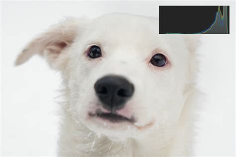 Image result for Histogram Photography Good Example