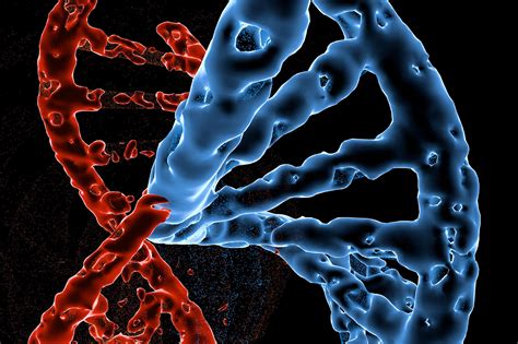 Image result for Gene Expression DNA 3D