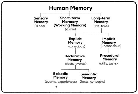 Image result for Working Memory vs Episodic Memory