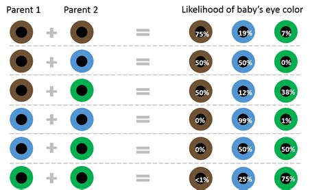 Image result for Eye Color Statistic Chart