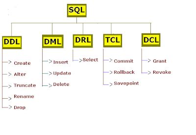 Image result for Make Query On My SQL Server Database Drop Command Line