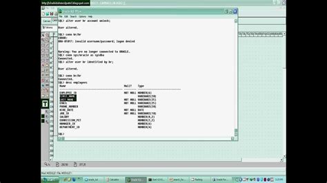 Image result for Entry Query Icon Oracle Forms
