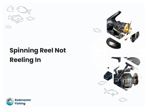 Afbeeldingsresultaten voor How to Oil a Spinning Reel