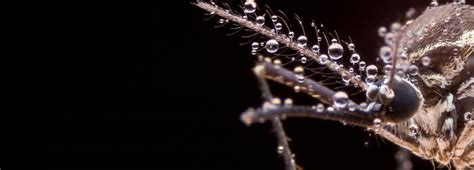 Arc Tech に対する画像結果