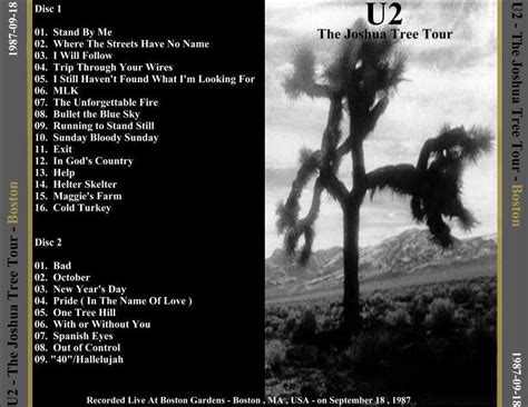 Joshua Tree 1987 に対する画像結果