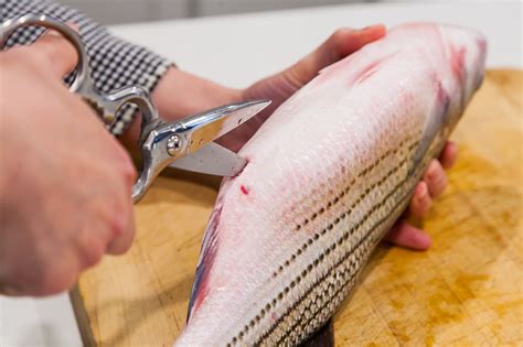 Image result for How to Clean Spots or Croacker Fish