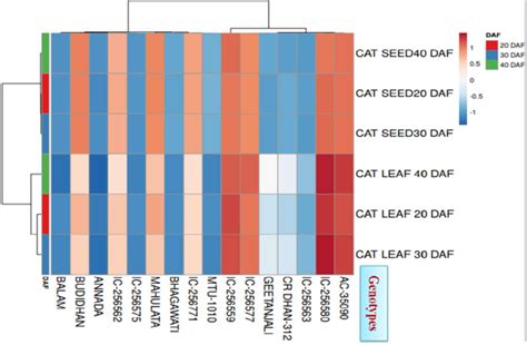 Toradh íomhá ar DAF Color Chart