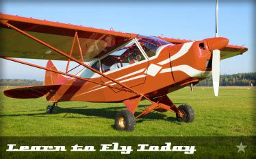 Image result for Airplane Flying Lessons