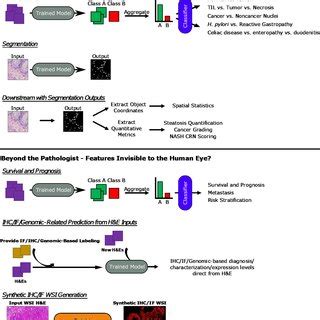 Image result for General Machine Learning