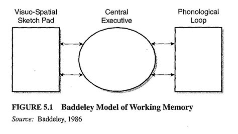Toradh íomhá ar Working Memory Model Explained