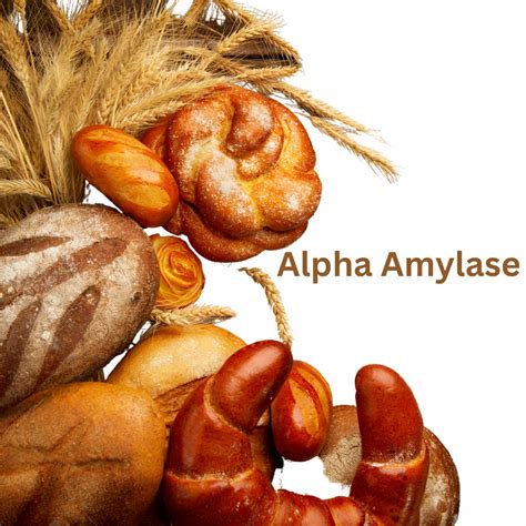 Image result for Amylase Enzyme Algel