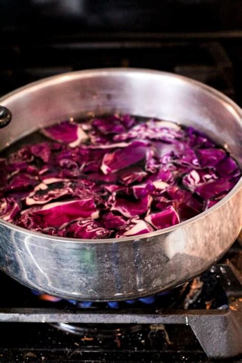 Toradh íomhá ar Making Red Cabbage Indicator