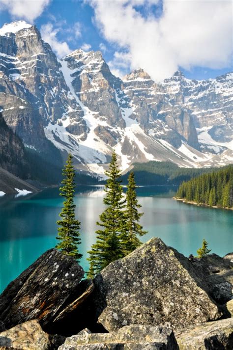 Image result for Canada Boxers Trunks