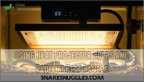 Image result for Ball Python Lighting