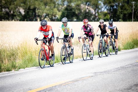 Image result for Cache Valley Polygomist Compound