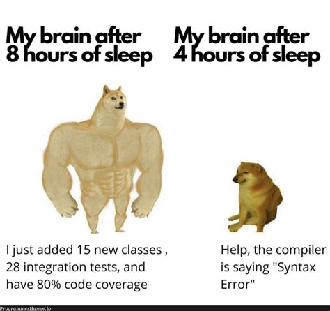 Programmer Problem No Sleep Meme に対する画像結果