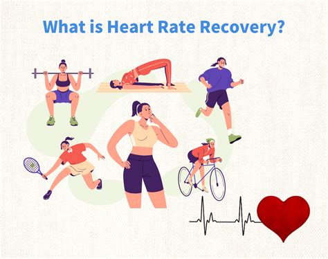 Image result for Heart Rate Recovery