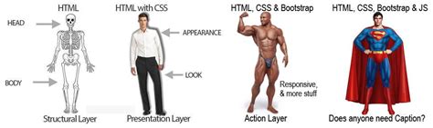 Image result for Difference Between HTML CSS and Bootstrap