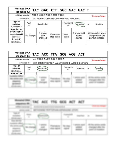 Image result for DNA Mutations Practice Worksheet Answers