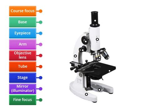 Image result for Different Lens On a Microscope Labeled