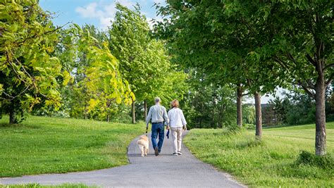 Image result for New Technical Drawing Instruments