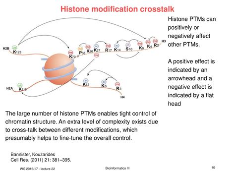 Post-Translational Modification Histone Code に対する画像結果