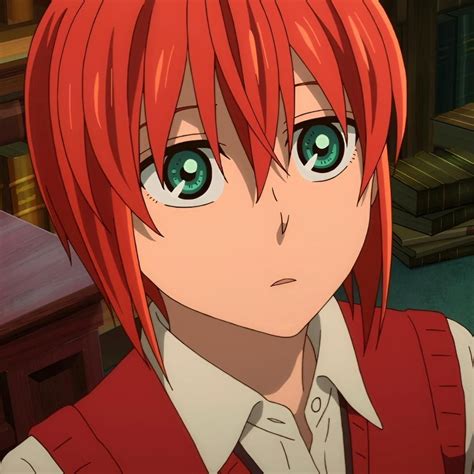 Image result for The Enchanted Magus Bride Chibi