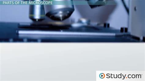 Image result for Compound Microscope Parts of Microscope