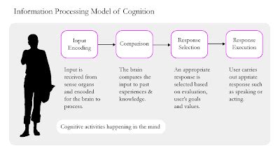 Information Processing Computer Model Cognitive Psychology に対する画像結果