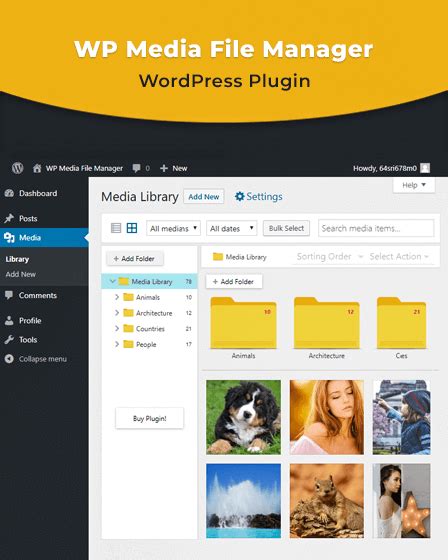 Image result for WordPress File Manager