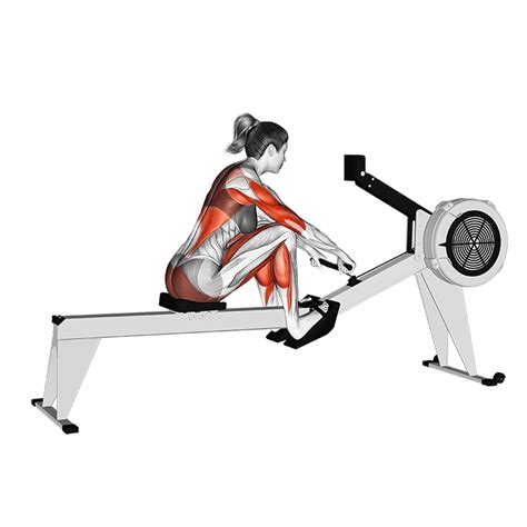 Image result for Back Exercises Gym Machine