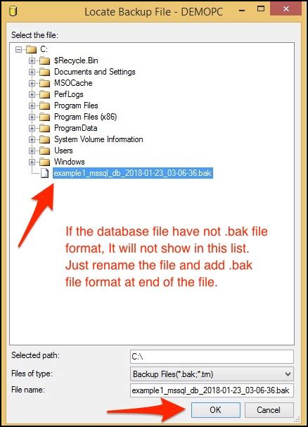 Image result for Microsoft SQL Restore Database From Backup