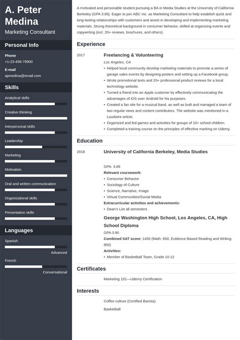 Image result for CV Examples No Work Experience
