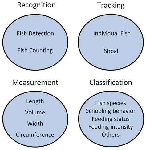 Toradh íomhá ar Computer Vision Architecture Icon