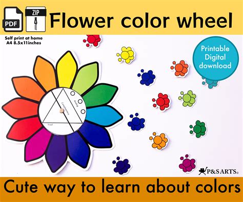 Image result for Flower Color Wheel