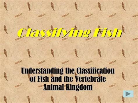 Categorizing Fish に対する画像結果