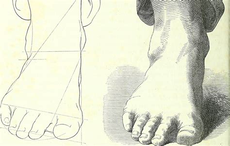 Scale Proportion に対する画像結果